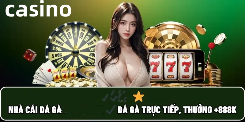 bet66