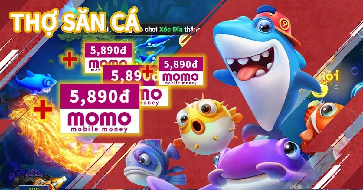 bet66